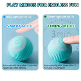 Automatic Rolling Interactive Pet Toy – Smart Electronic Magic Ball for Indoor Play and Pet Game Accessories