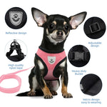 Adjustable Pet Harness Vest with Leash – Breathable Mesh Collar for Walking Small and Medium Pets, Ideal for Cats and Puppies