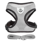 Adjustable Pet Harness Vest with Leash – Breathable Mesh Collar for Walking Small and Medium Pets, Ideal for Cats and Puppies